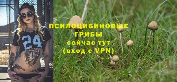 хмурый Магадан