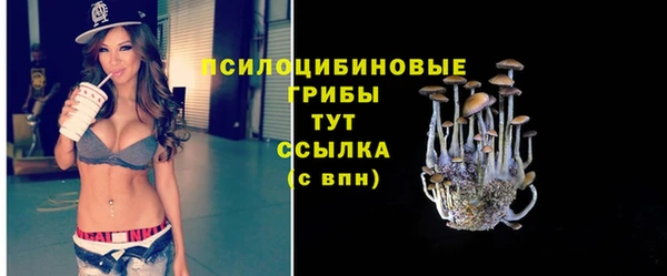 герыч Майский