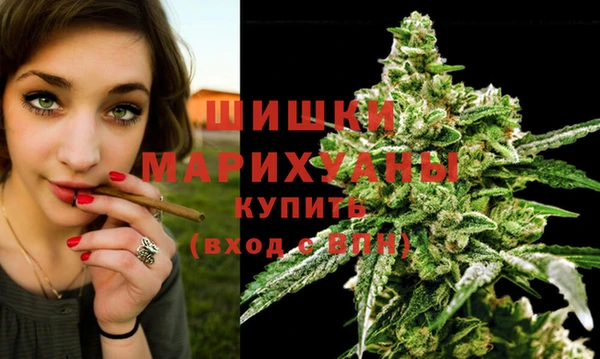 ГАЛЛЮЦИНОГЕННЫЕ ГРИБЫ Магас
