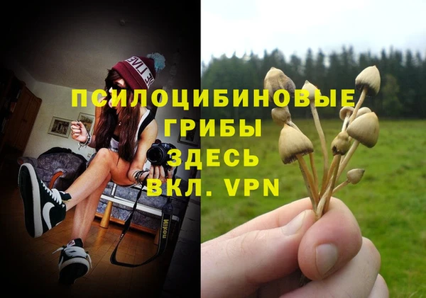 хмурый Магадан