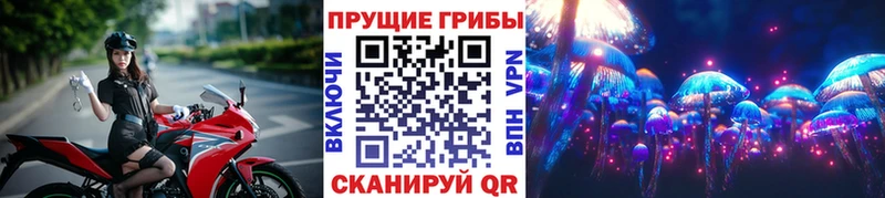 Галлюциногенные грибы GOLDEN TEACHER  Подольск 