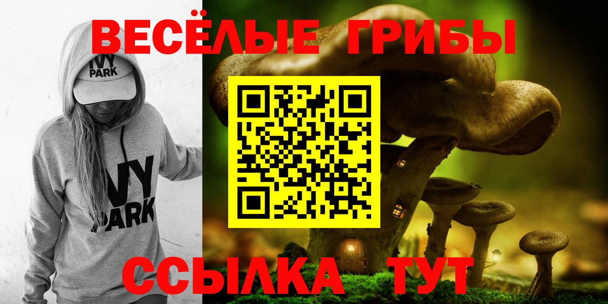 Галлюциногенные грибы прущие грибы  Вход с VPN  Псилоцибиновые грибы Psilocybine cubensis  Подольск 